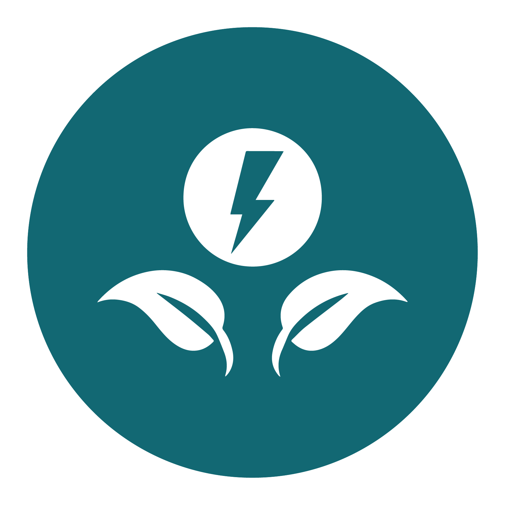 Washington State Road Usage Charge (WA-RUC)